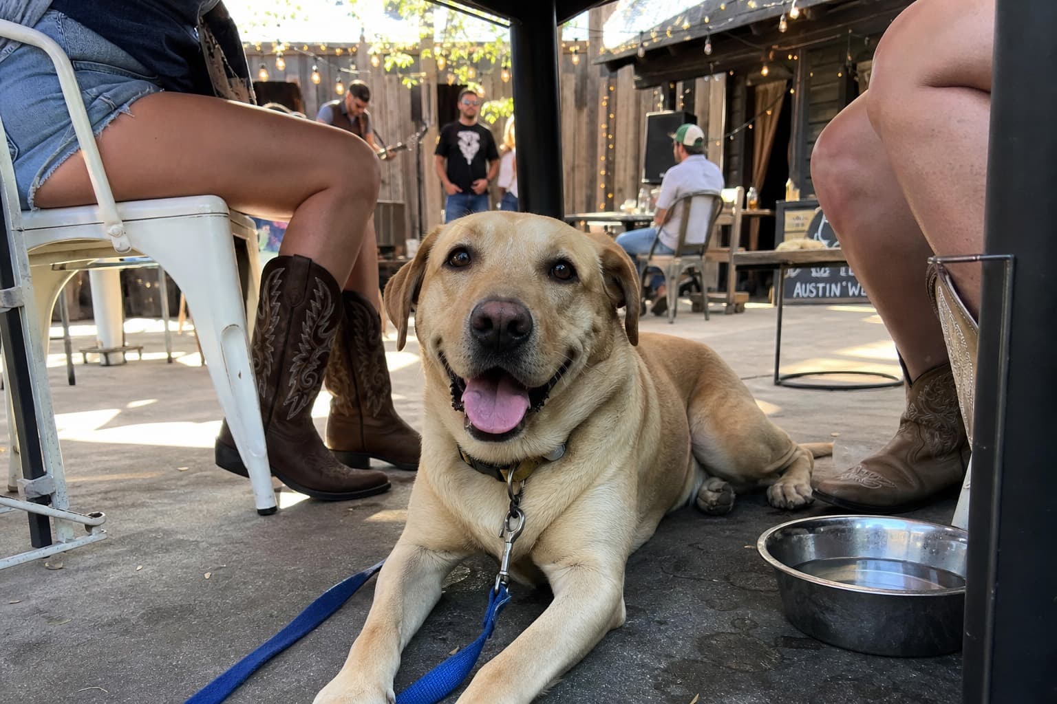 Hot Weather Safety for Dogs