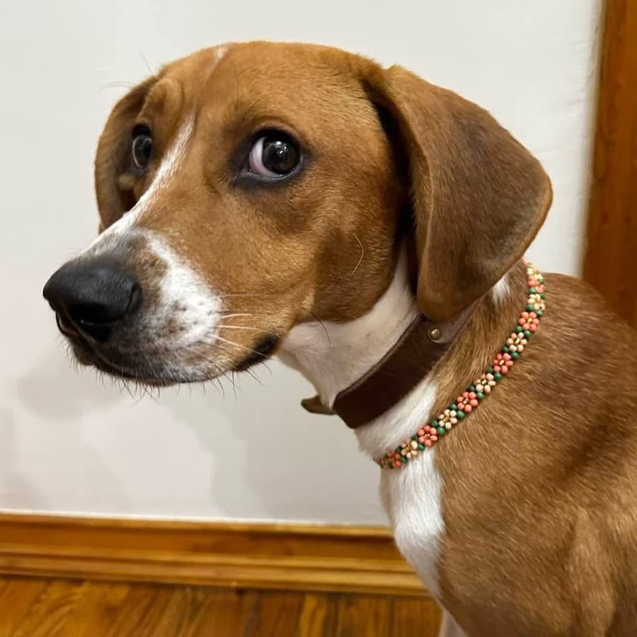Stella, Co-founder & CFO